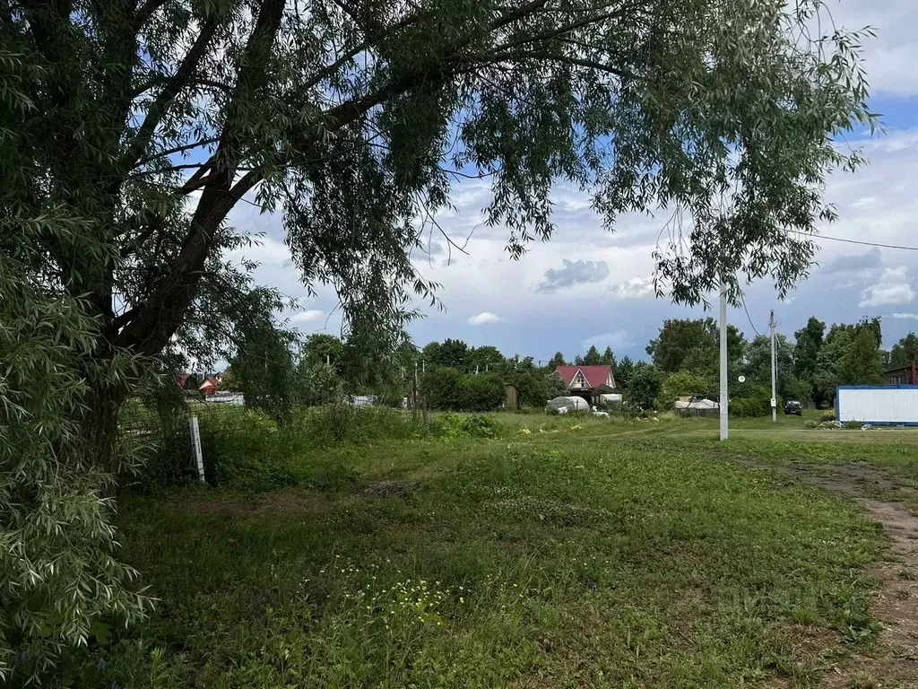 Участок в Московская область, Кашира городской округ, пос. Большое ... - Фото 2