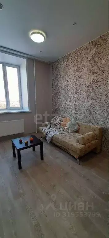 1-к кв. Пермский край, Пермь ул. Куйбышева, 109А (25.5 м) - Фото 0