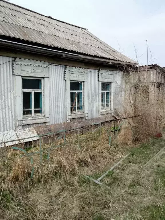 Дом в Амурская область, Ивановский муниципальный округ, с. Березовка ... - Фото 0