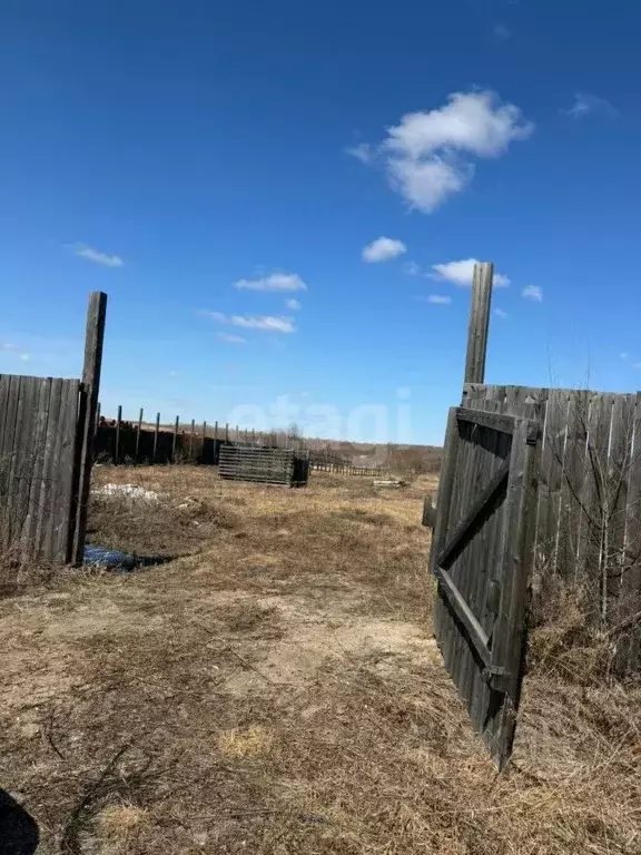 Участок в Амурская область, Серышевский муниципальный округ, с. ... - Фото 1