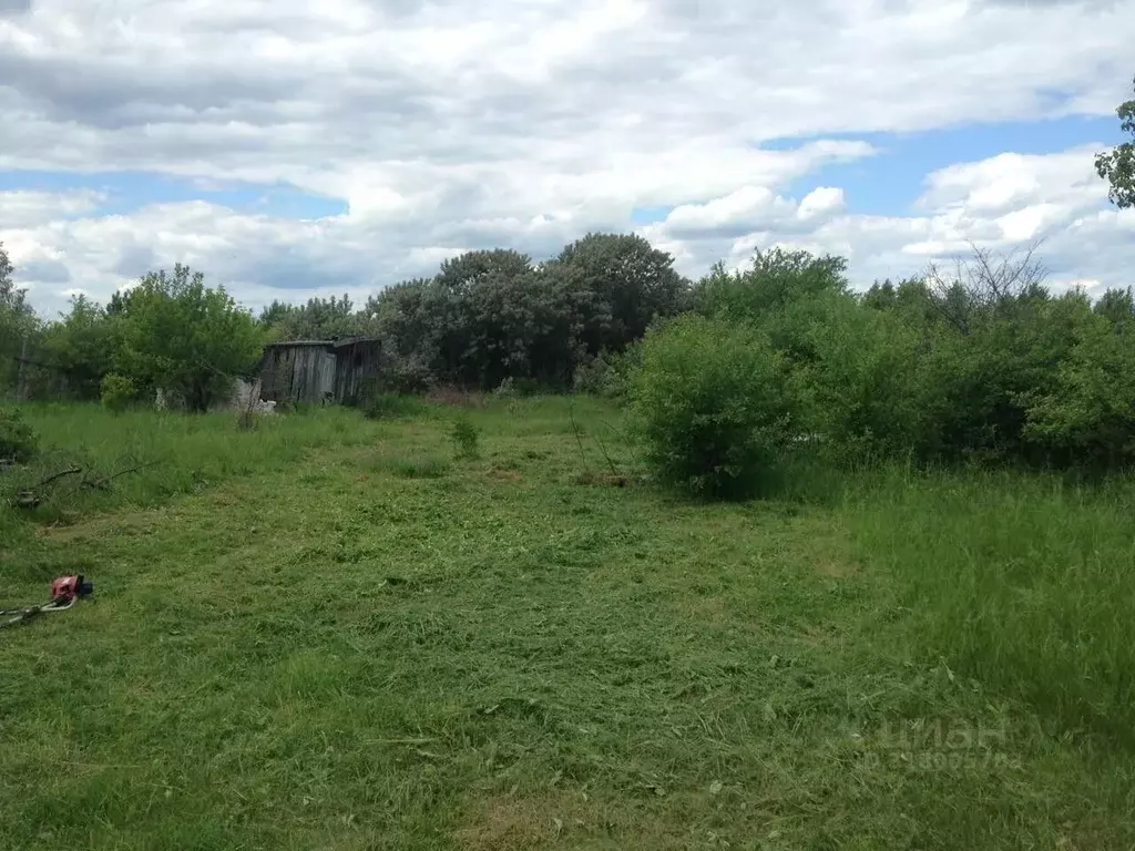 Участок в Владимирская область, Судогодский район, Головинское ... - Фото 0