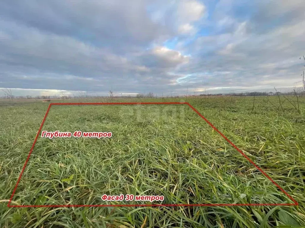 Участок в Краснодарский край, Анапа  (1178.0 сот.) - Фото 2