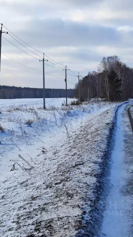 Участок в Свердловская область, Екатеринбург Кургановский дп,  (25.5 ... - Фото 0