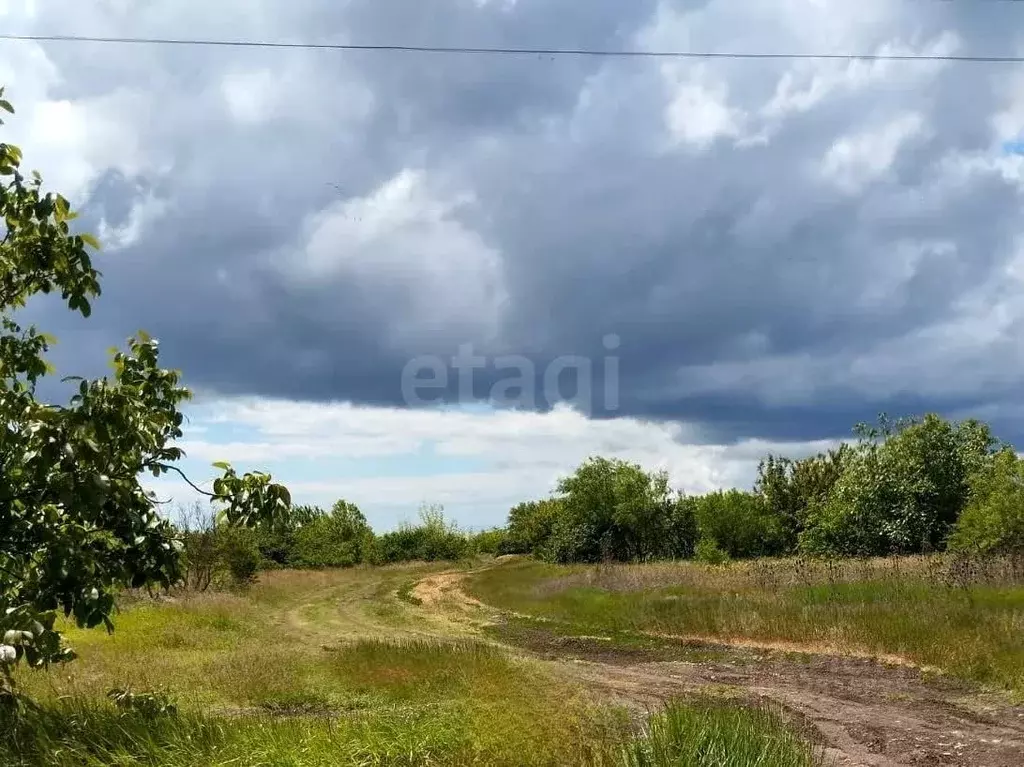 Участок в Крым, Кировский район, Синицынское с/пос, с. Васильковое ул. ... - Фото 1