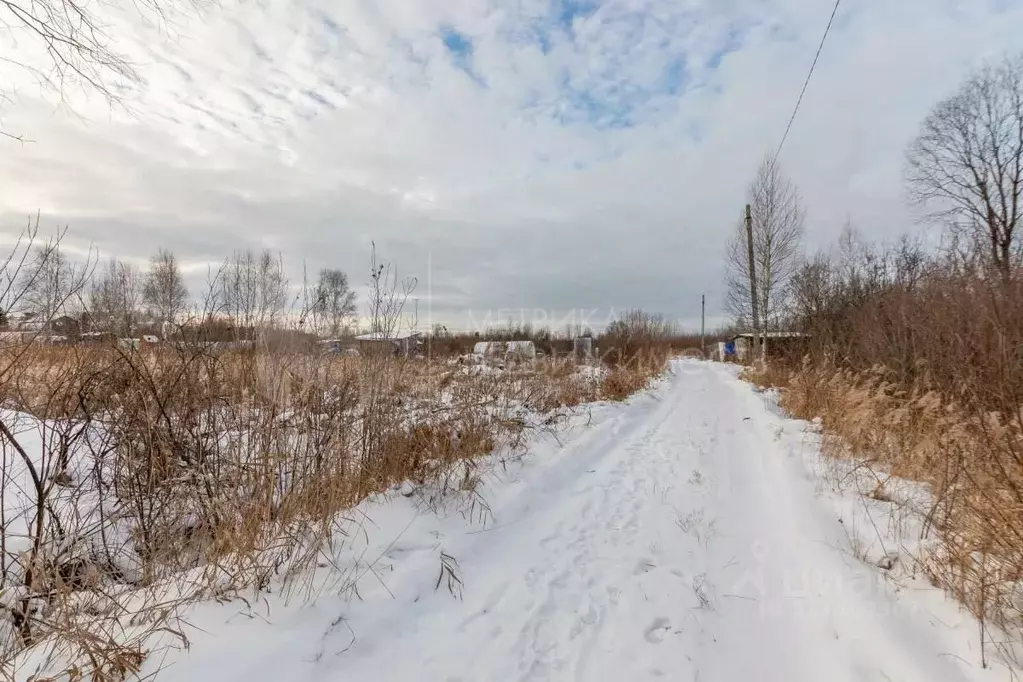 Участок в Тюменская область, Тюмень СОСН Березка-3 тер., ул. 28-я (5.1 ... - Фото 1