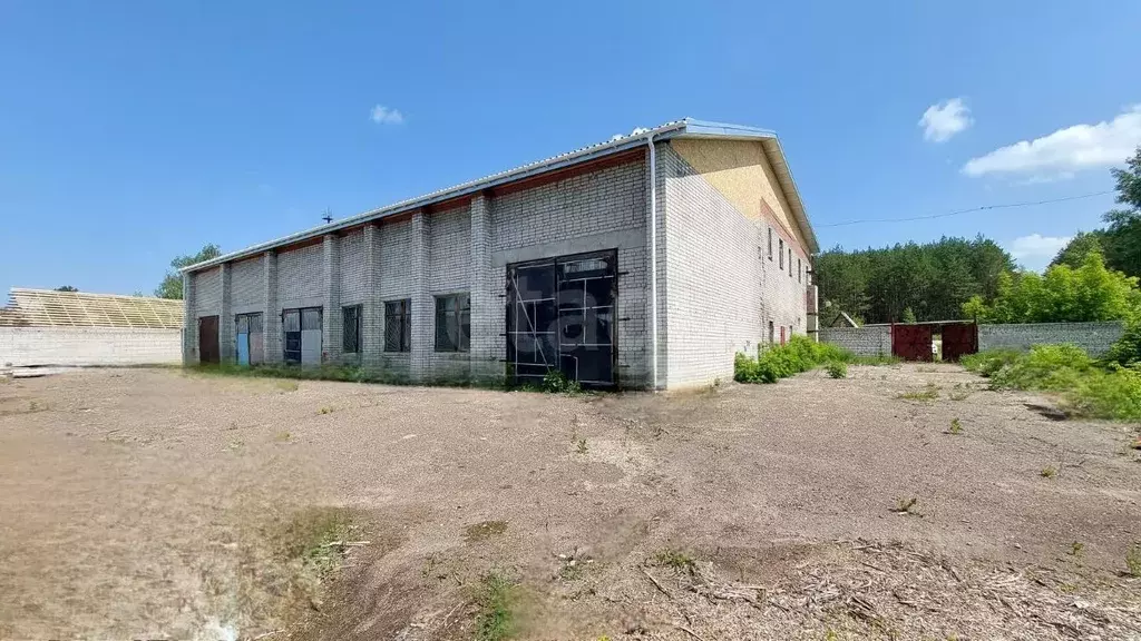 Помещение свободного назначения в Марий Эл, Волжск Транспортная ул., ... - Фото 1