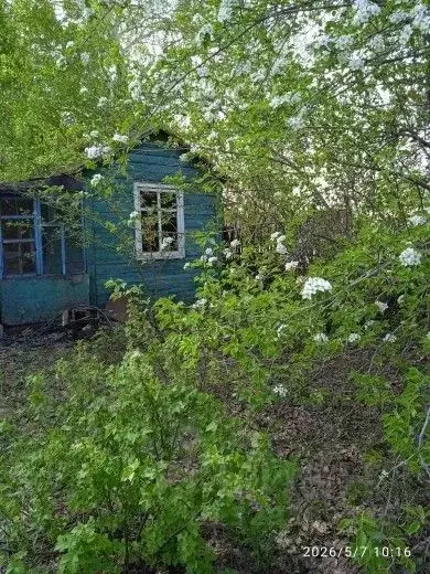 Участок в Омская область, Омск СОСН Интернационалист тер.,  (12.6 ... - Фото 1