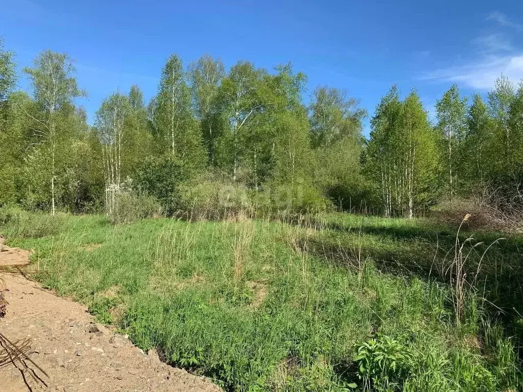 Участок в Свердловская область, Екатеринбург тракт Московский (12.8 ... - Фото 1