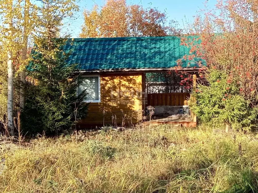 Участок в Карелия, Прионежский район, Деревянское с/пос ул. Сосновая ... - Фото 1