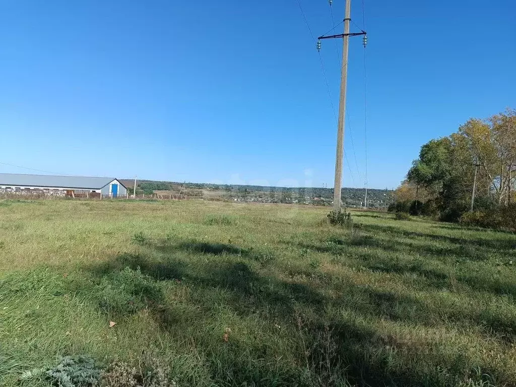 Участок в Курская область, Курский район, Моковский сельсовет, д. ... - Фото 2