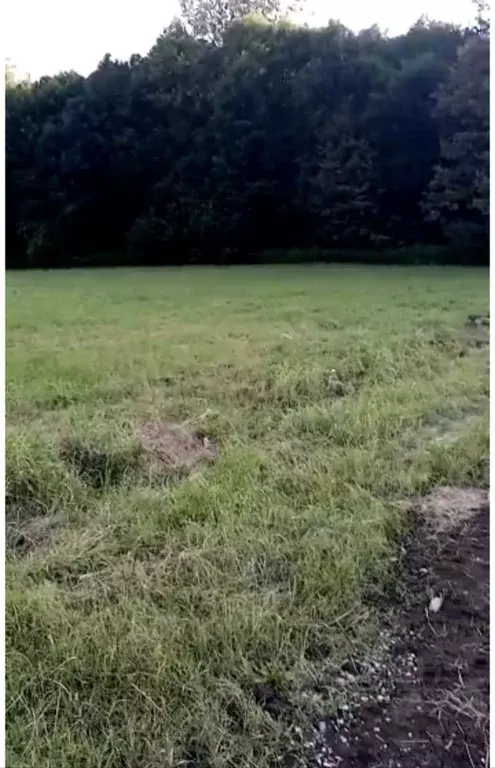 Участок в Краснодарский край, Горячий Ключ ул. Шевченко (4.6 сот.) - Фото 1