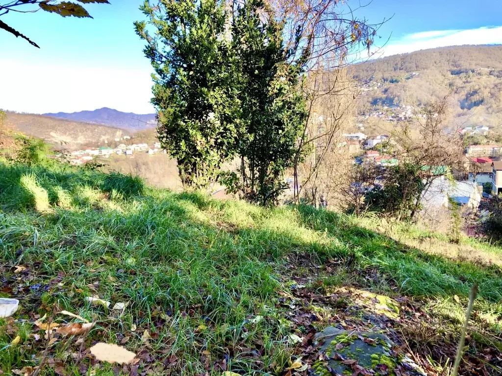 Участок в Краснодарский край, Сочи Лесной ЖСК, 31 (6.7 сот.) - Фото 2