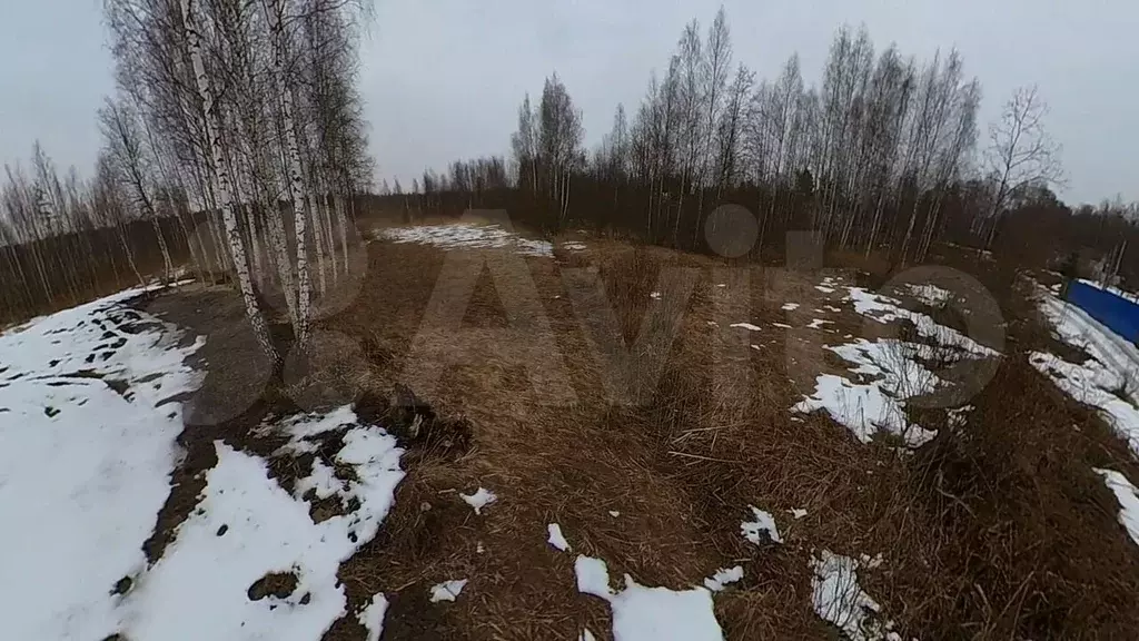 Участок 10,9 сот. (СНТ, ДНП) - Фото 0