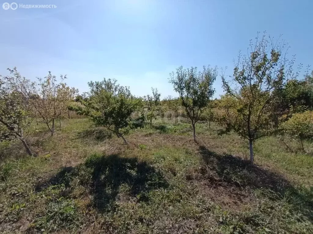 Участок в муниципальное образование Воскресенское, деревня Дергаловка ... - Фото 1