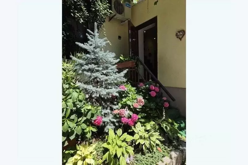 Дом в Крым, Ялта муниципальный округ, Никита пгт  (120 м) - Фото 1