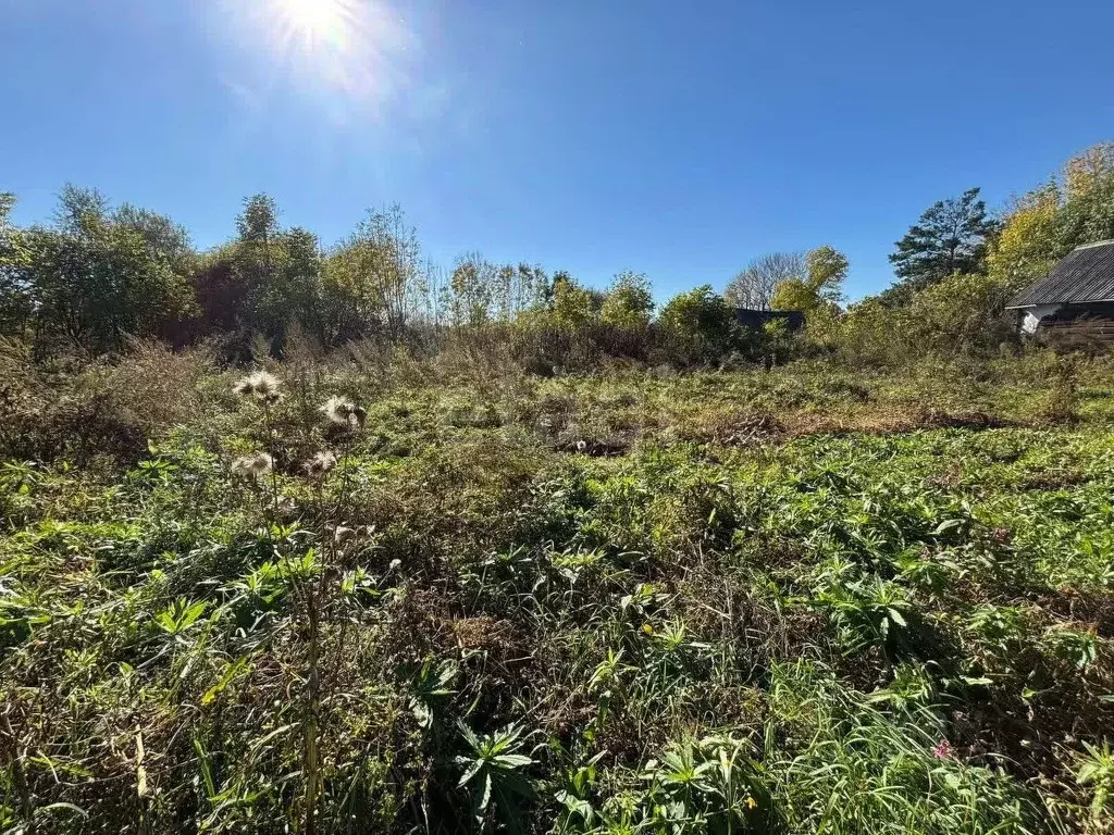 Дом в Еврейская автономная область, Смидовичский район, пос. ... - Фото 1