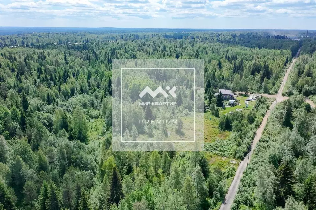 Участок в Ленинградская область, Всеволожский район, Куйвозовское ... - Фото 1