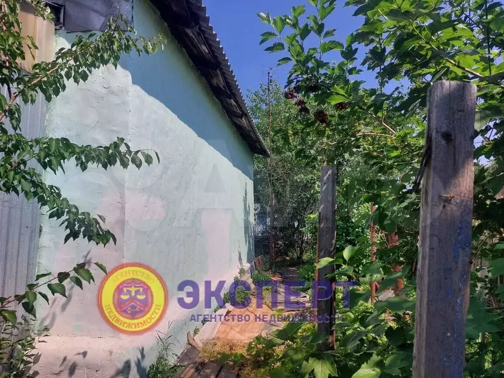 Дом 45,4 м на участке 8,5 сот. - Фото 1
