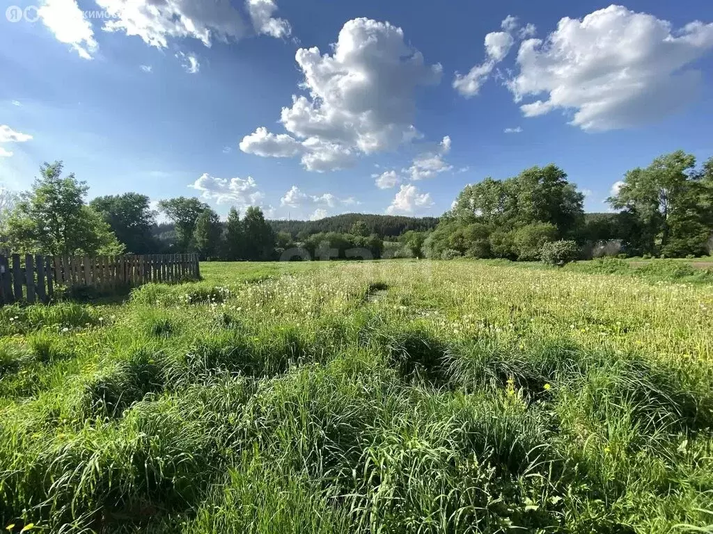 Участок в Можгинский район, деревня Залесный, Детская улица (2394 м) - Фото 2