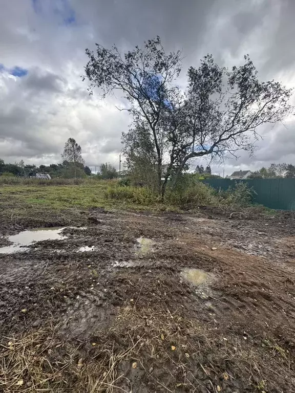 Участок в Ленинградская область, Выборгский район, Селезневское с/пос, ... - Фото 1