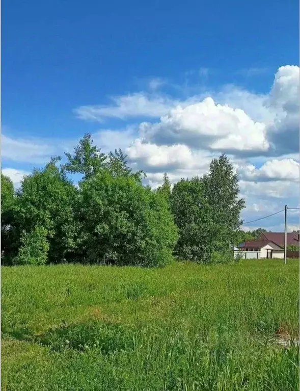 Участок в Московская область, Орехово-Зуевский городской округ, д. ... - Фото 1