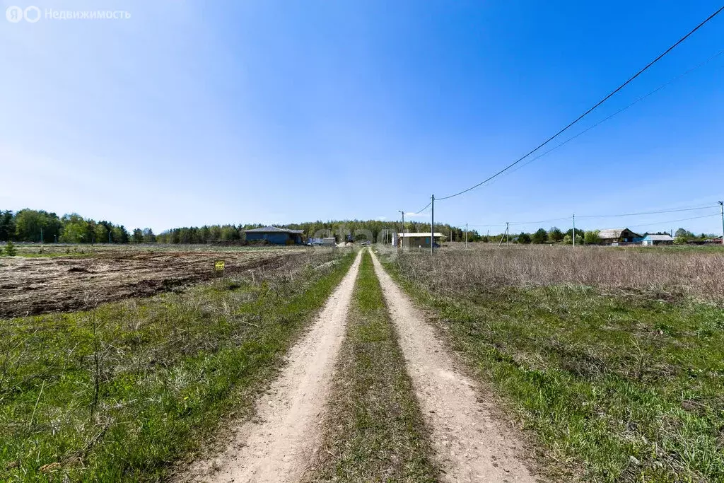 Участок в Тюменский район, село Кулига (9.2 м) - Фото 1