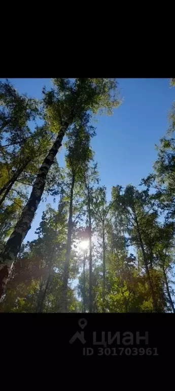 Участок в Нижегородская область, Нижний Новгород с. Новые Ключищи,  ... - Фото 2
