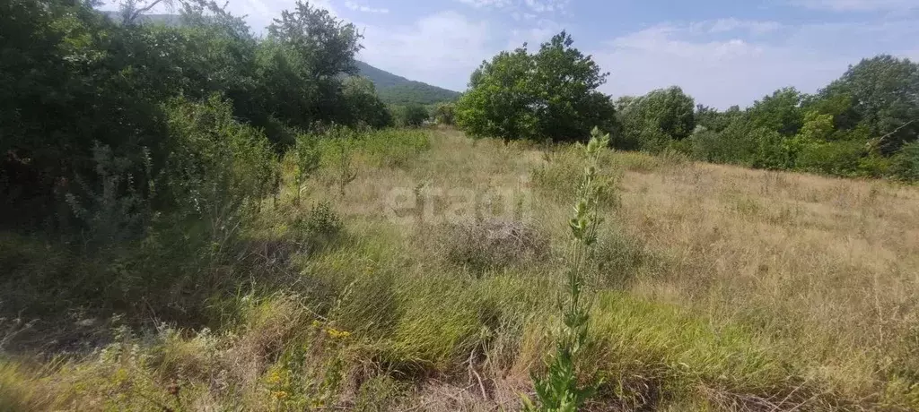 Участок в Крым, Белогорский район, с. Земляничное ул. Крымская (23.0 ... - Фото 1