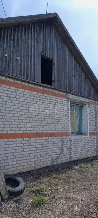 Дом в Курганская область, Макушинский муниципальный округ, с. Большое ... - Фото 1