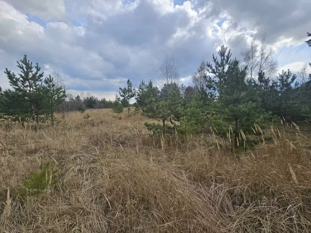 Участок в Воронежская область, Рамонский район, Новоживотинновское ... - Фото 1