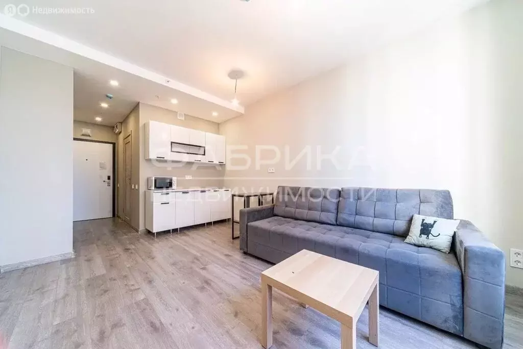 Квартира-студия: Санкт-Петербург, Витебский проспект, 99к1 (25.2 м) - Фото 2