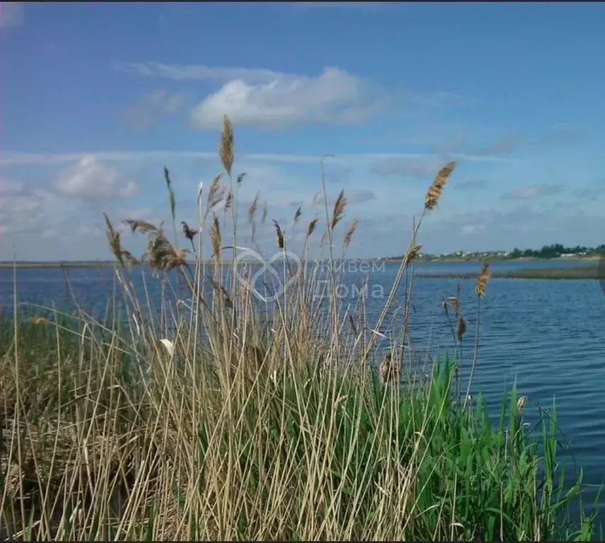 Участок в Волгоградская область, Волгоград Поселок Водный тер., ул. ... - Фото 0