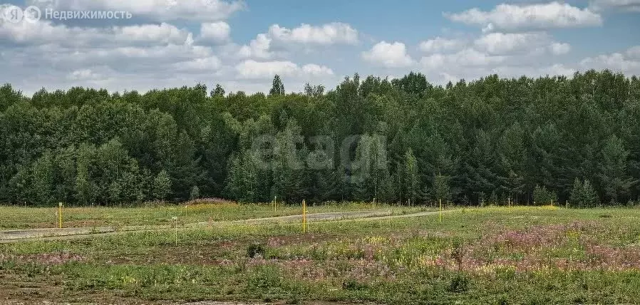 Участок в Кормиловский район, деревня Байкал, улица Мичурина (57 м) - Фото 0