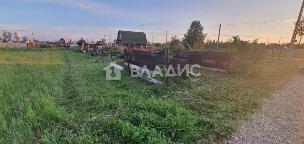 Участок в Новосибирская область, Новосибирский район, Кубовинский ... - Фото 1