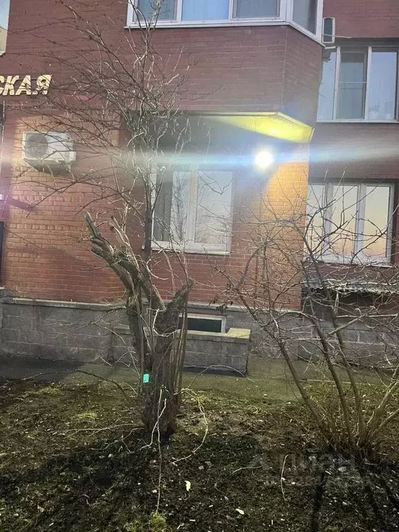 Торговая площадь в Санкт-Петербург Бухарестская ул., 118к2 (72 м) - Фото 2