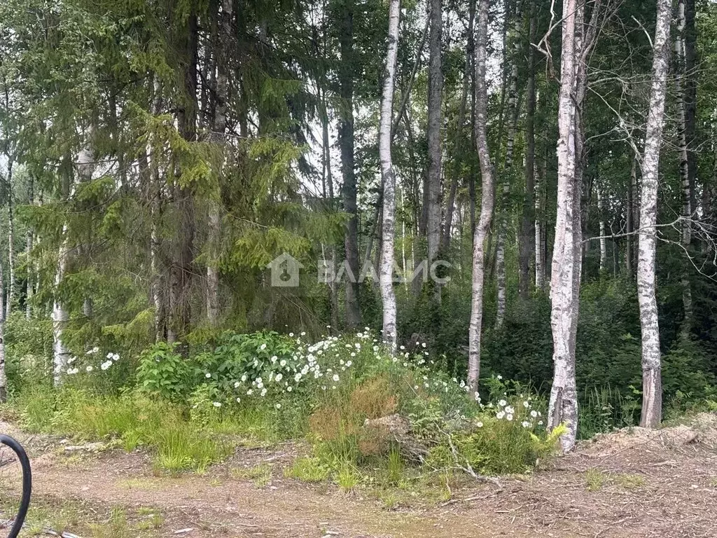 Участок 10,6 сот. (ИЖС) - Фото 1