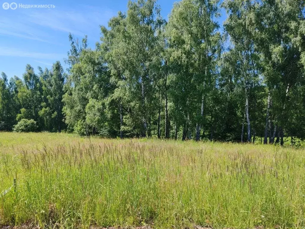 Участок в Московская область, Раменский муниципальный округ, КП ... - Фото 1