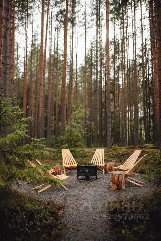 Дом в Карелия, Медвежьегорск ул. Магистральная, 24 (80 м) - Фото 2