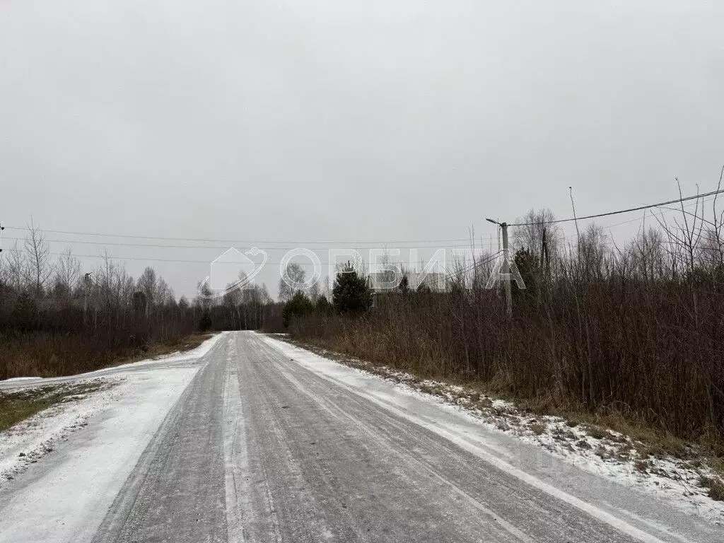 Участок в Тюменская область, с. Ярково пер. Охотников, 7 (12.0 сот.) - Фото 1