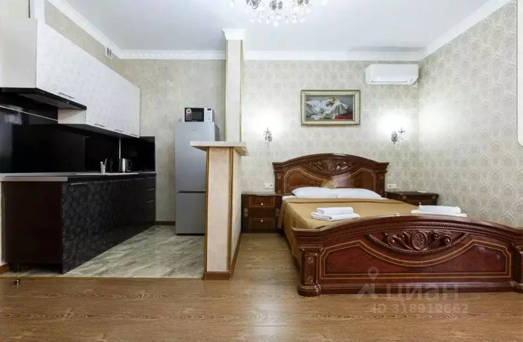 1-к кв. Краснодарский край, Сочи ул. Ленина, 41 (25.0 м) - Фото 0