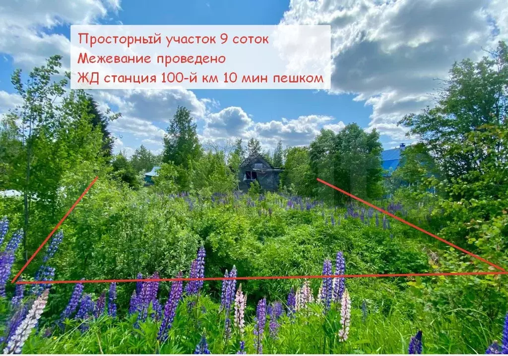 Участок 9 сот. (СНТ, ДНП) - Фото 1