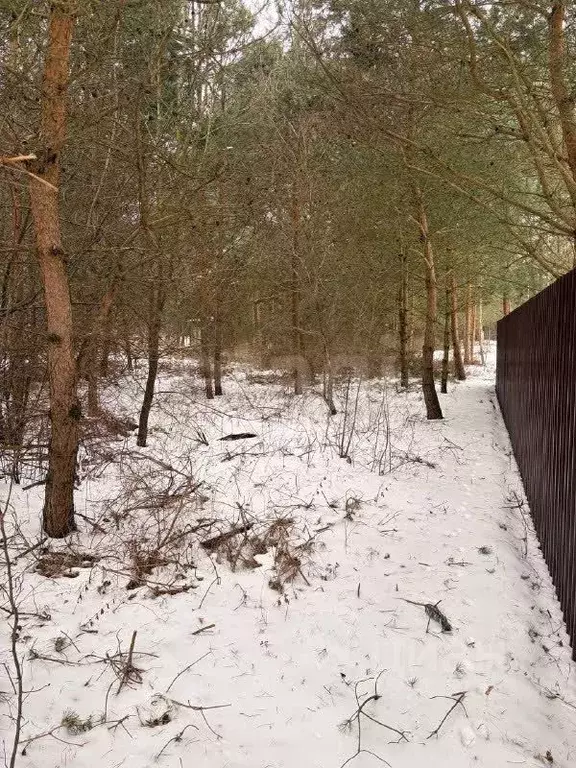 Участок в Калининградская область, Балтийск  (6.1 сот.) - Фото 1