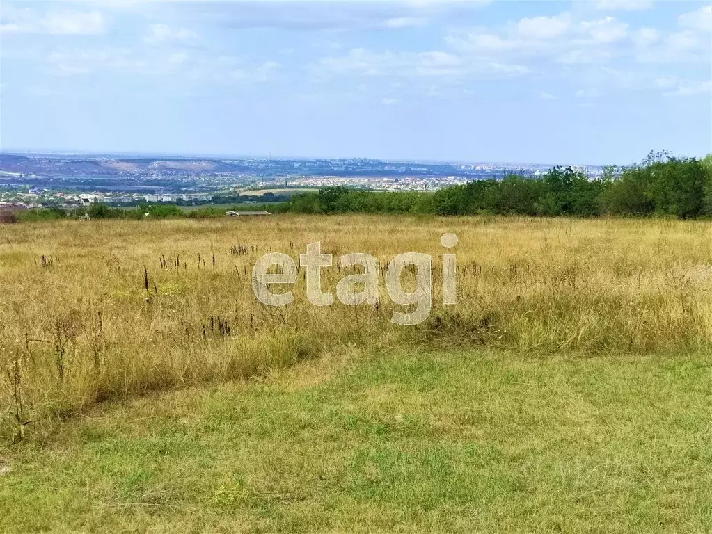 Купить Земельный Участок В Чистеньком Симферопольский Район