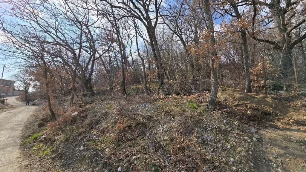 Участок в Крым, Ялта городской округ, Краснокаменка пгт ул. ... - Фото 0