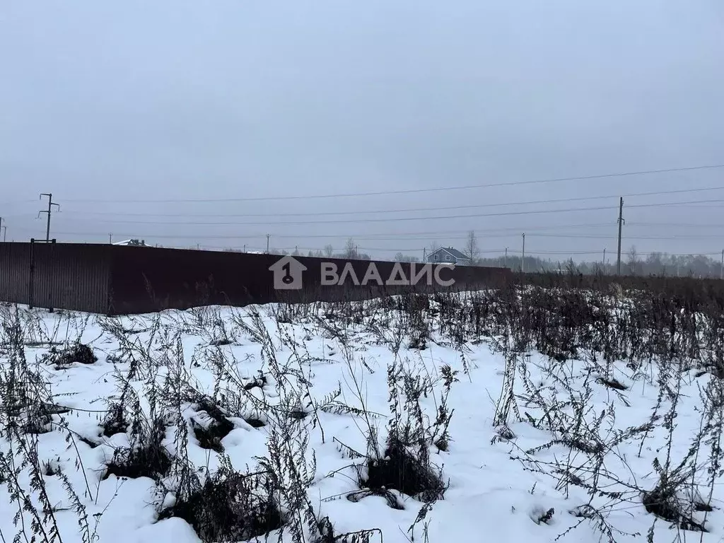 Участок в Нижегородская область, Нижний Новгород д. Подвалиха, ул. ... - Фото 2