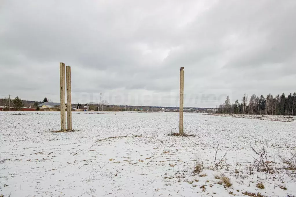 Участок в Московская область, Наро-Фоминский городской округ, д. ... - Фото 1