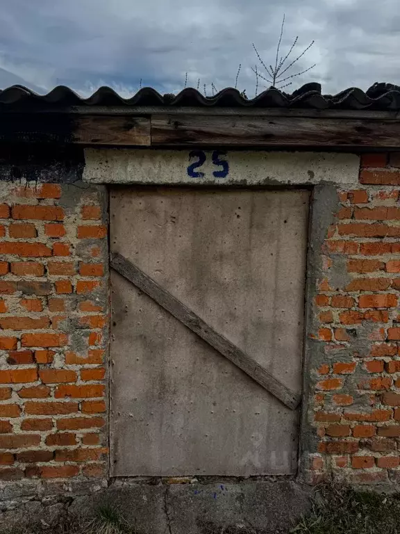 Помещение свободного назначения в Орловская область, Кромы пгт ул. К. ... - Фото 1