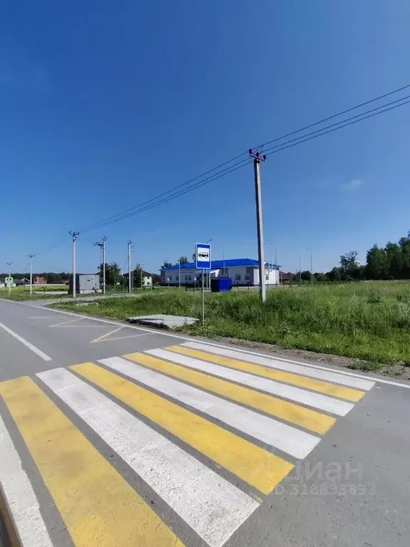 Участок в Новосибирская область, Новосибирский район, Станционный ... - Фото 1