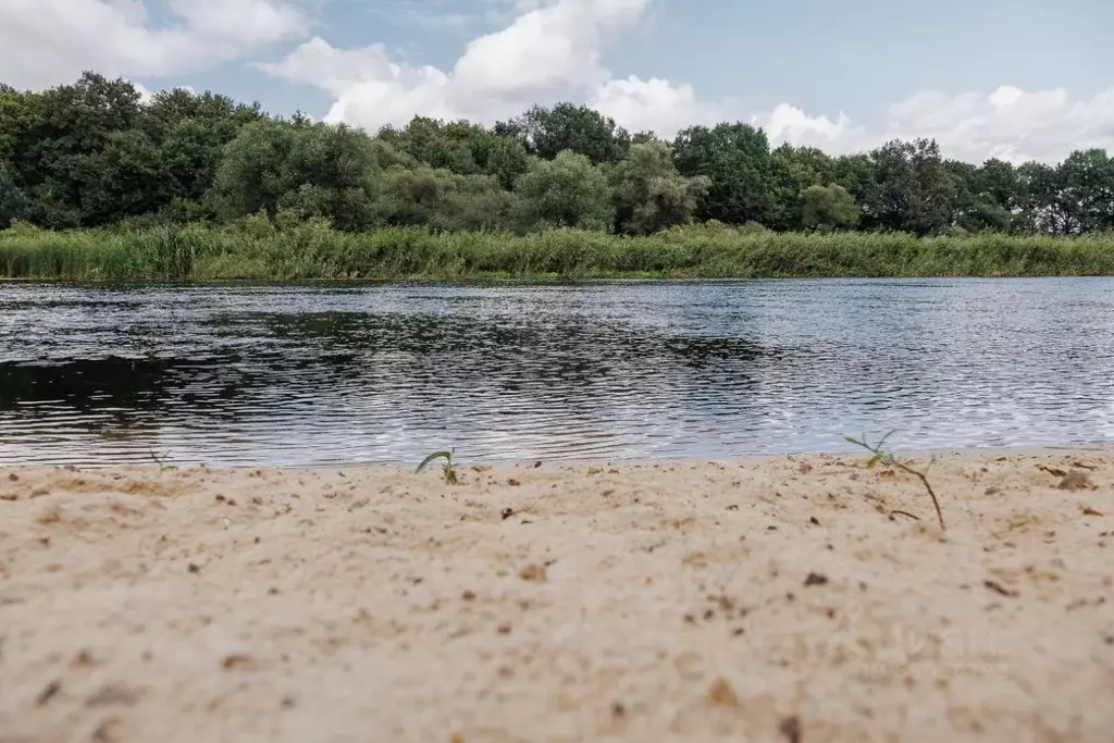 Участок в Воронежская область, Рамонский район, Березовское с/пос, д. ... - Фото 1