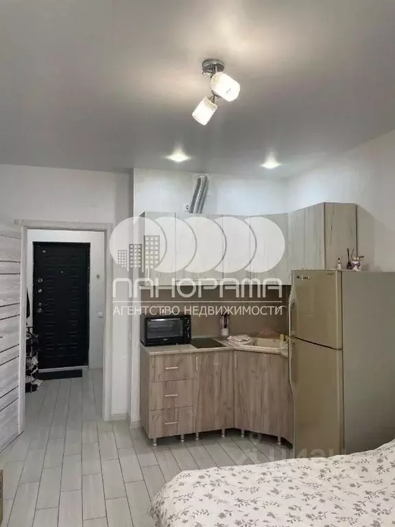 Студия Краснодарский край, Анапа Парковая ул., 61к4 (26.0 м) - Фото 1